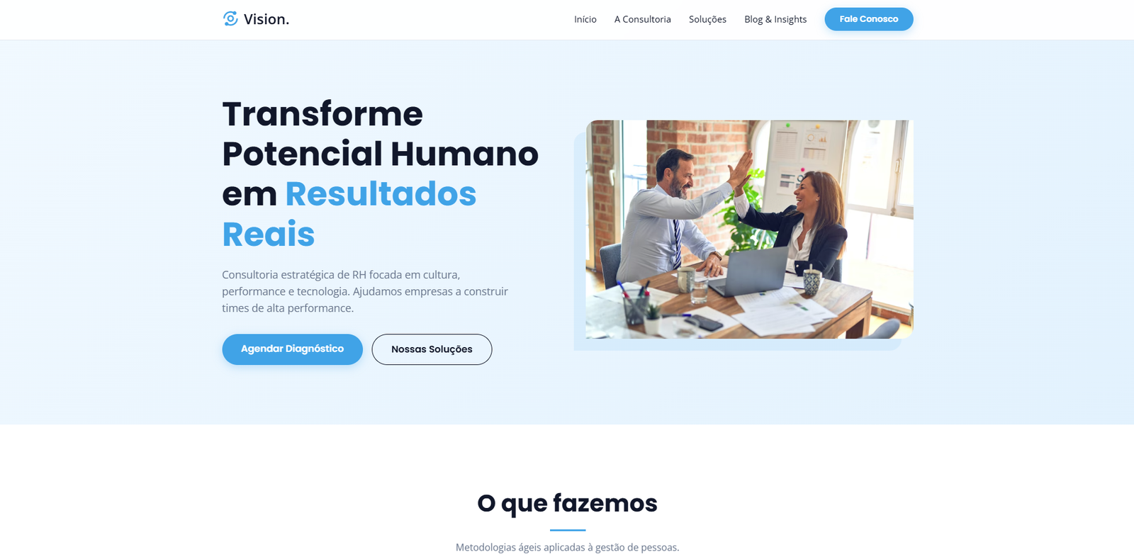 Consultoria Vision